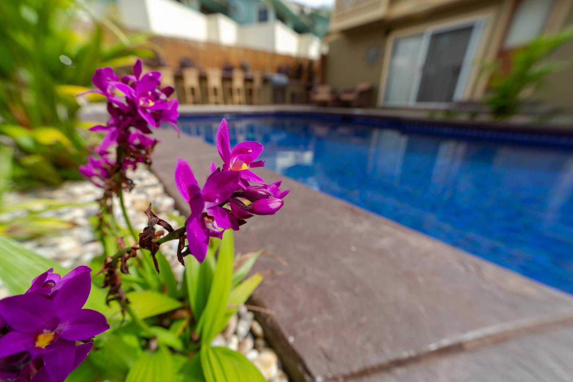 Lotus Suite, 1 Bedroom, Sleeps 4, Pool & Bbq, Pre-Renovation Summer Sale Кихей Экстерьер фото
